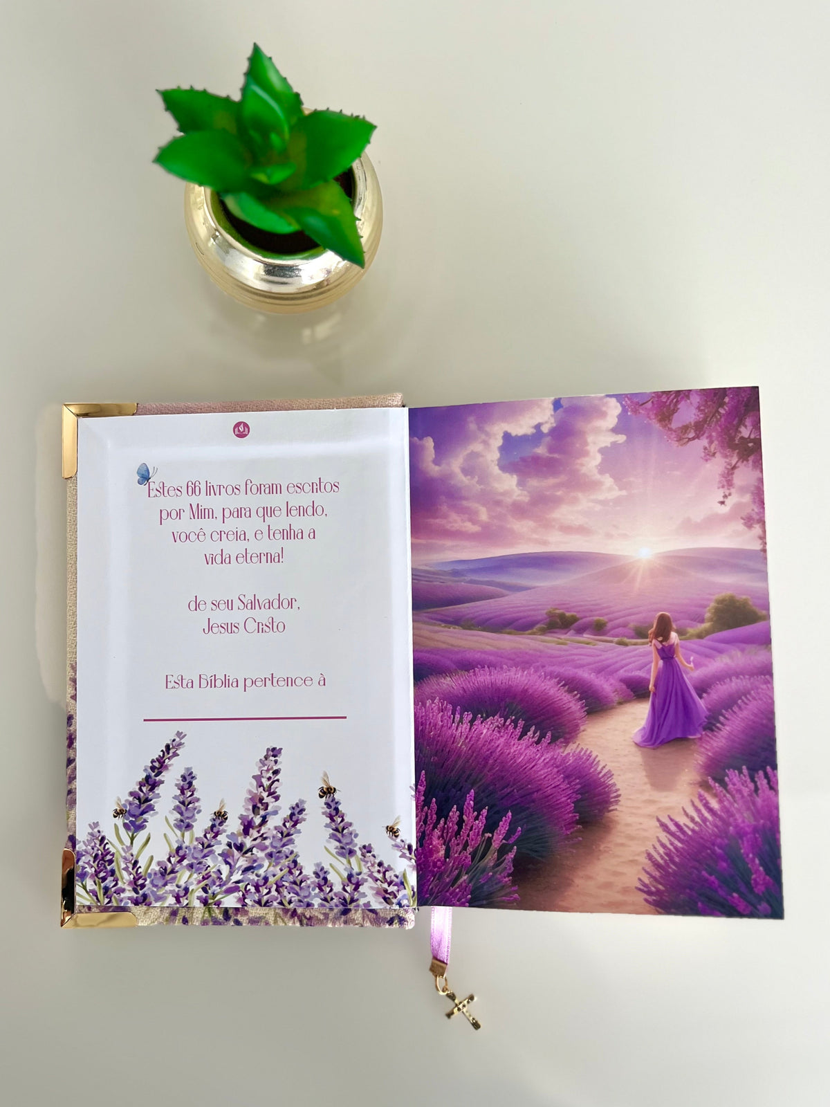 Bíblia Lavanda em Linho