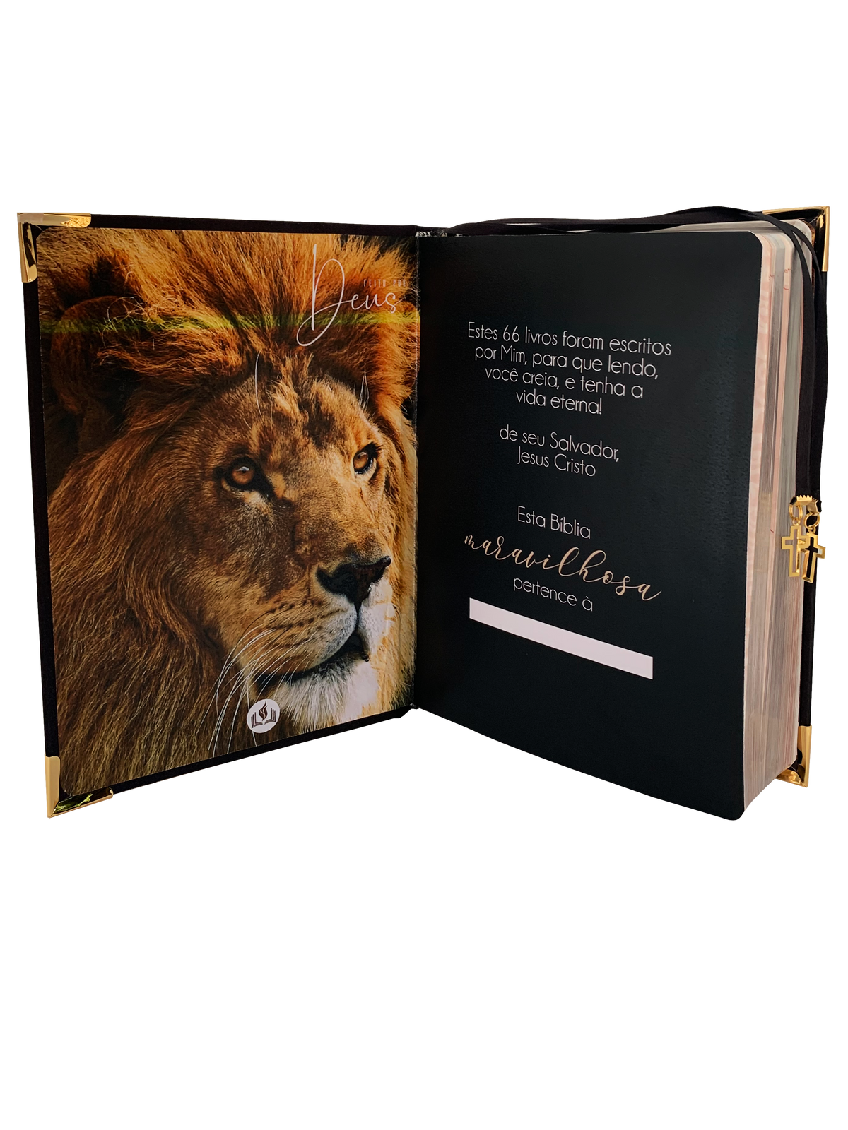 Bíblia Personalizada Zion King