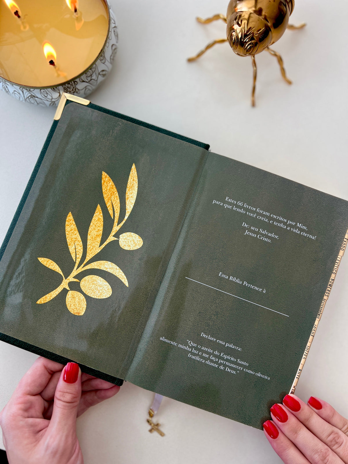 Combo Bíblia Courino Oliva com Oliveira Dourada gravada + Cartela de índices Dourada+ Placa Grande Dourada
